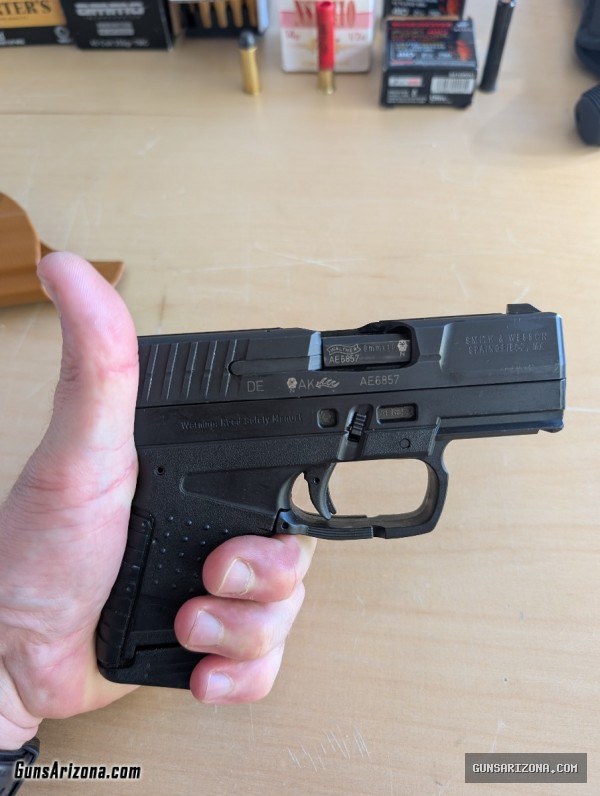 WALTHER PPS