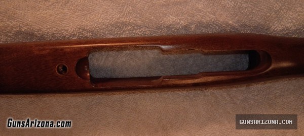 Ruger Woodstock for a 10/22