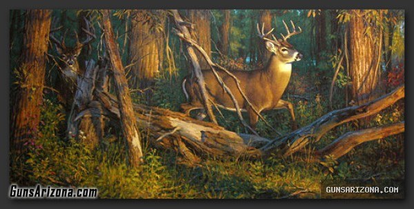 LEON PARSON WILDLIFE ART PRINTS