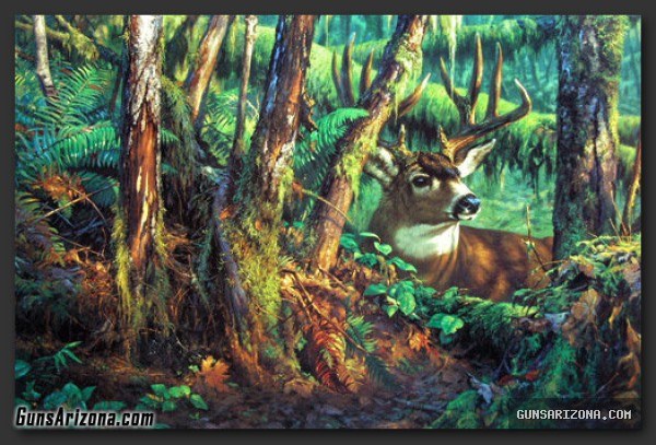 LEON PARSON WILDLIFE ART PRINTS