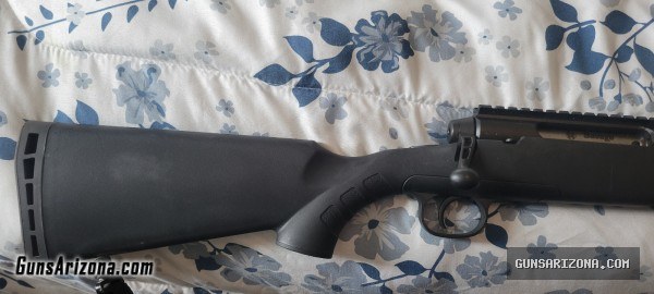 Savage Axis .223