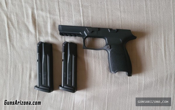 SIG P320/P250 Module + (2) 15 Round Magazines
