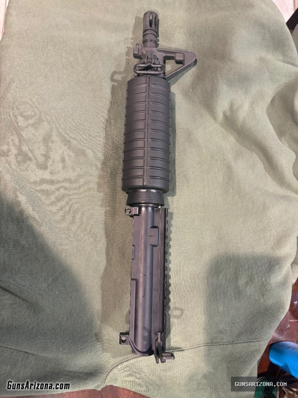 Colt