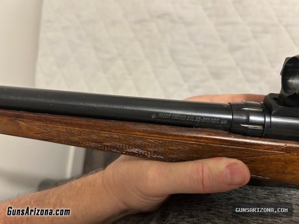 SAVAGE mod110c 22-250
