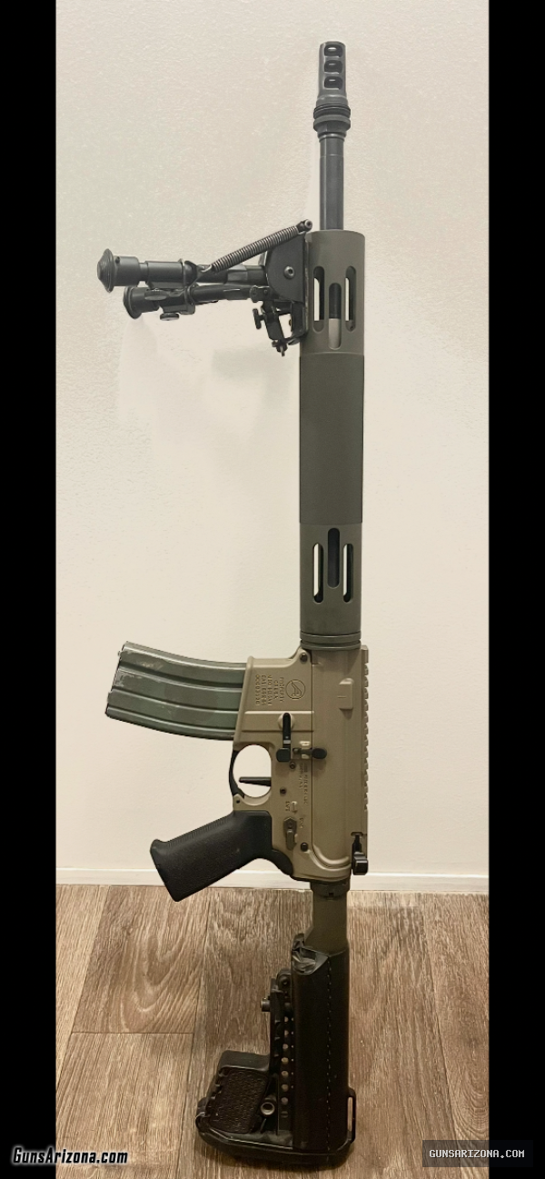 AR-15