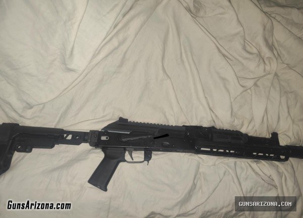 PSA Ak104