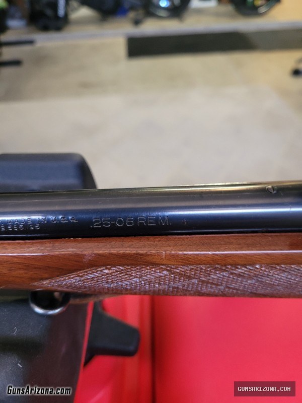 Remington 700 25-06