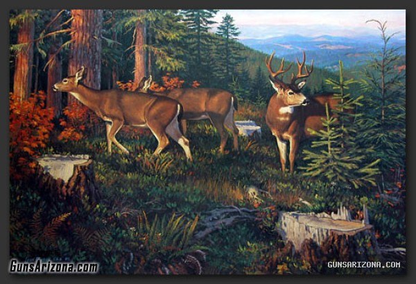 LEON PARSON WILDLIFE ART PRINTS