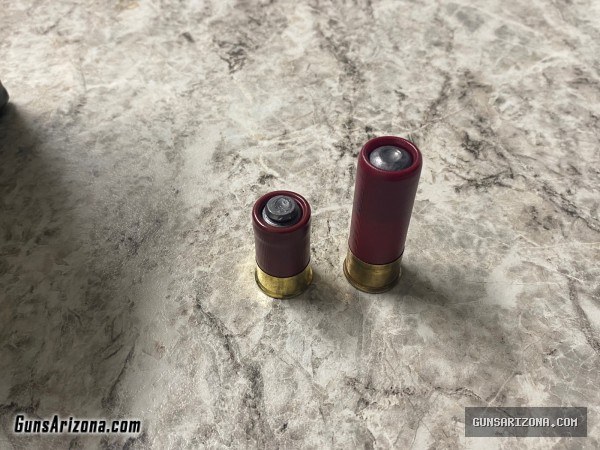 12g mini slugs and buckshot