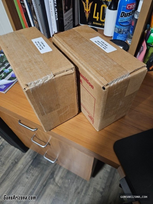 M855 1000 Rounds