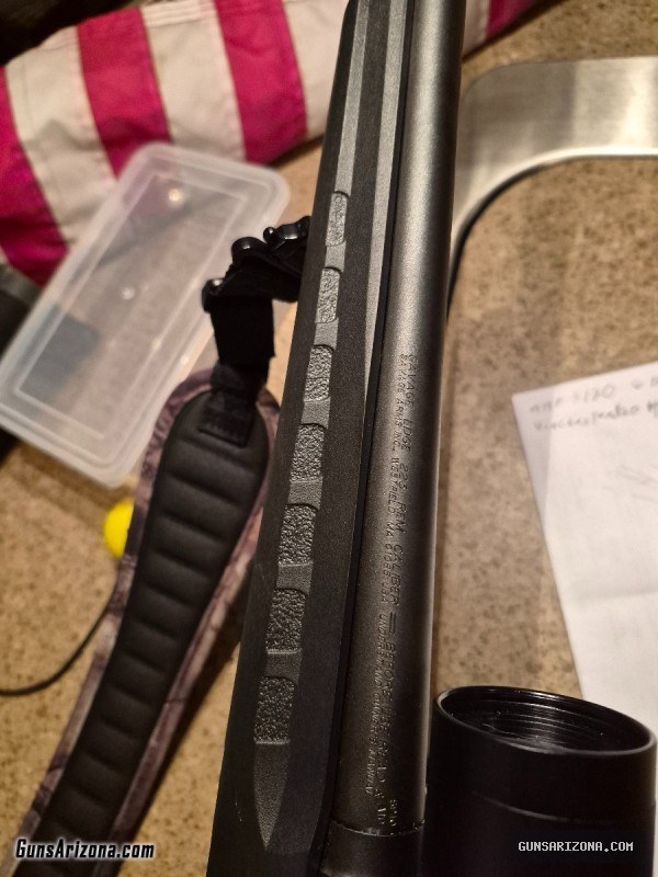 Savage  223 bolt action