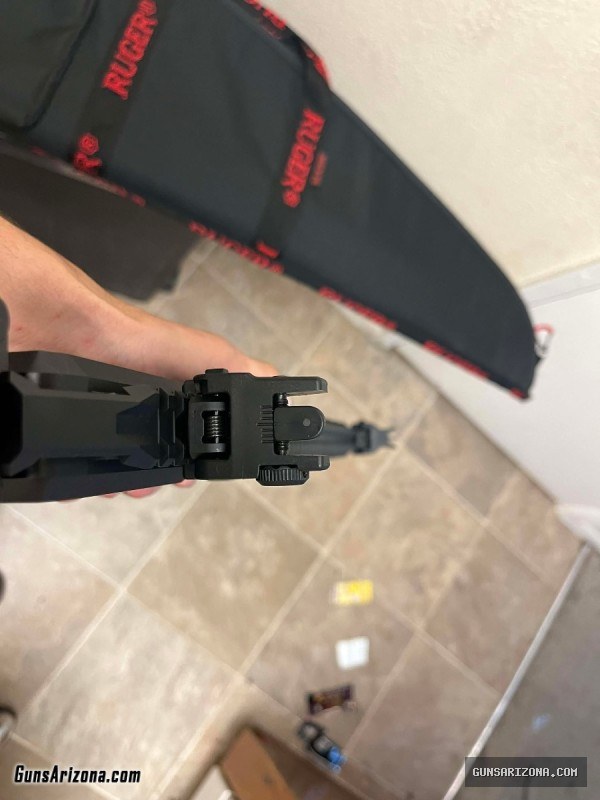 Ruger LC carbine