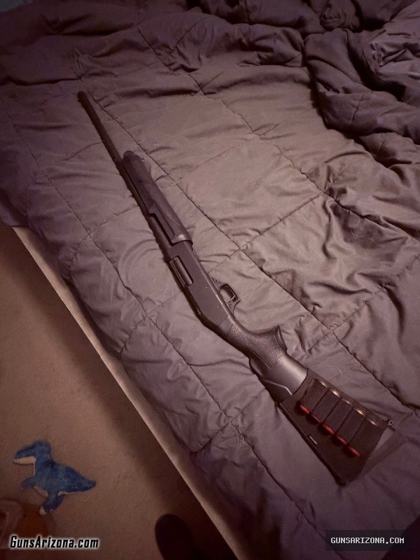 Mosin nagant and 12g