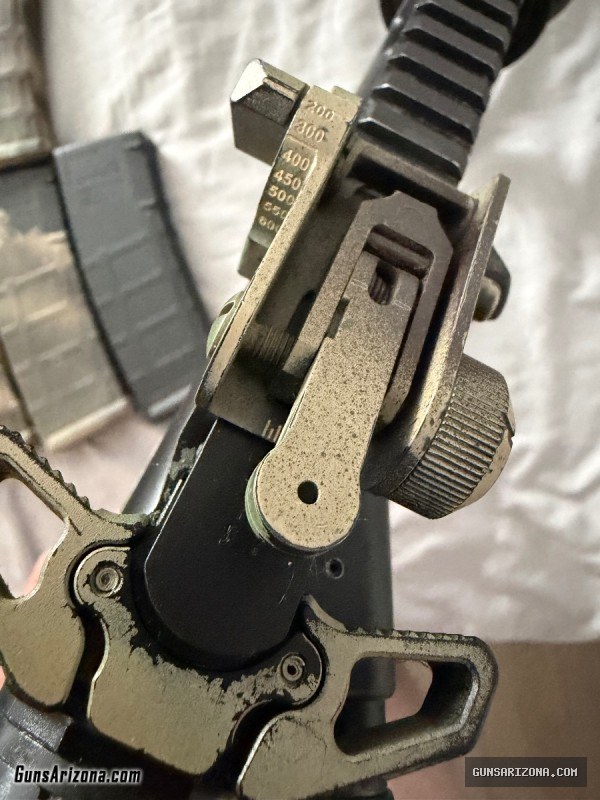 AR-15 with ammo