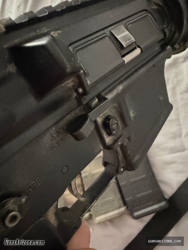 AR-15 with ammo