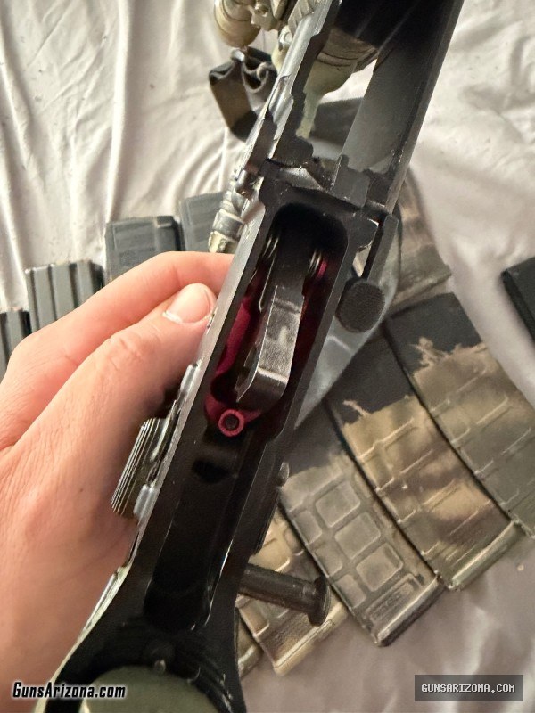 AR-15 with ammo