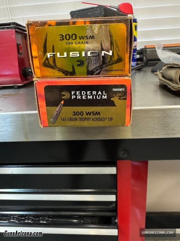 Various Ammunition