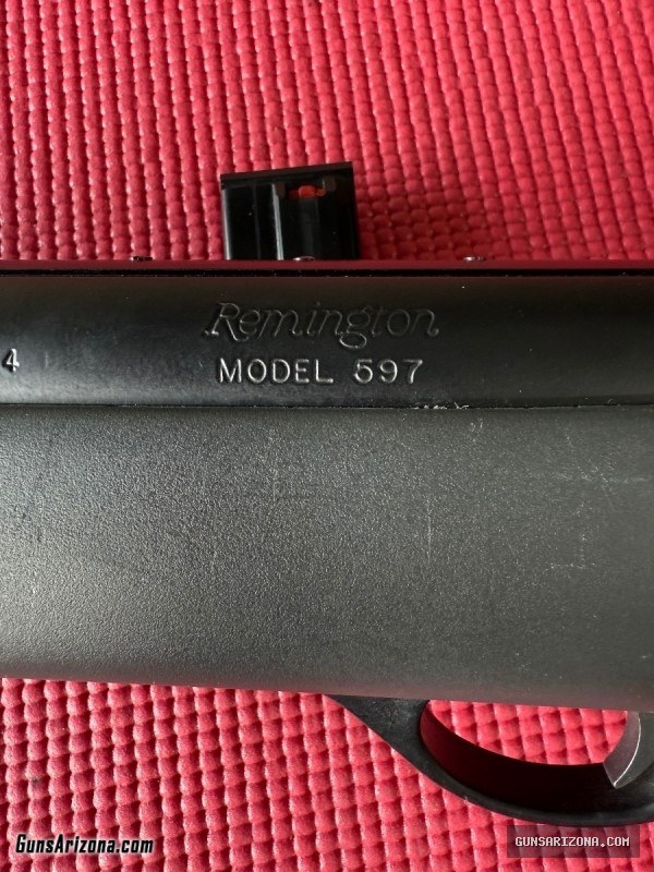 Remington Model 597 22lr detachable mag